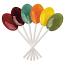 Dr. John's Sugar Free Classic Fruit Lollipops ~ 2.5lb.
