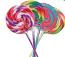 Assorted Swirl Lollipops ~ 24 Count 