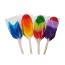 Squire Boone Feather Lollipops