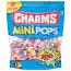 Charms Mini Pops Gusset Bag 