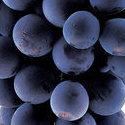 Grape Candy